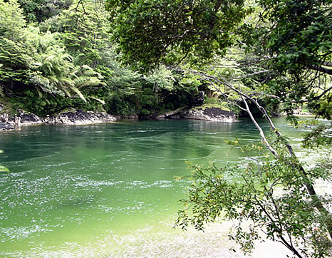 Fishing adventure